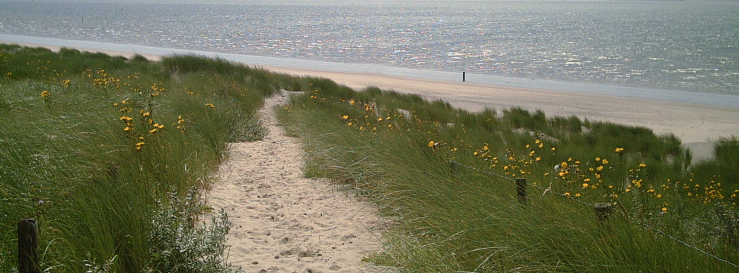 Stimmungsbild-Jo Ann Susi-Färber-Will-1